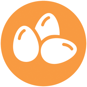 Huevos y productos a base de huevo